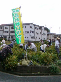 ふれあいツアー