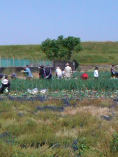 ふれあいツアー