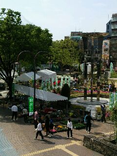 緑化フェスティバル