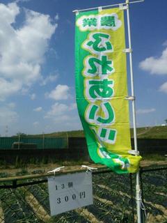 ふれあいツアー