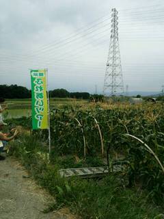 ふれあいツアー