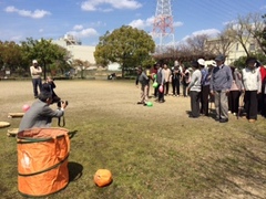 満開の桜の下で