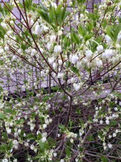 ちゃんとこたえてくれます