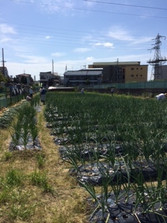 ふれあいツアー