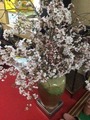 観桜会