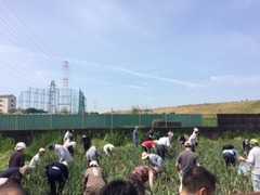 ふれあいツアー