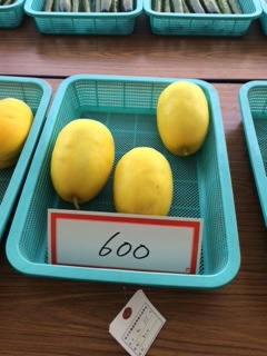 ご馳走さまでした