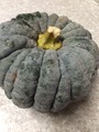 小菊かぼちゃ