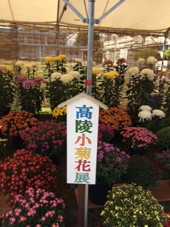 ふれあい芸能まつり