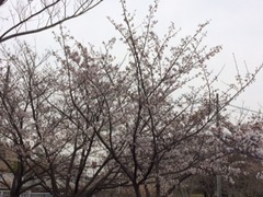 渚水みらいセンターへ