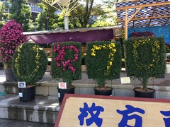 菊フェスティバル